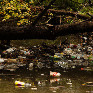 Anacostia River tributary trash pile up. (Photo courtesy of Flickr Commons: Chesapeake Bay Program).