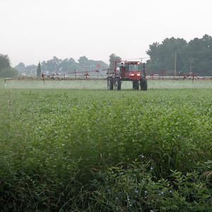 Over-application of herbicides and pesticides on farm fields can result in excess toxins and nutrients reaching the waterways. (Photo courtesy of J. Hawkey, IAN).