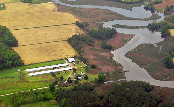 Poultry litter is a source of nutrients that can negatively affect water quality by entering rivers and the Chesapeake Bay through runoff and groundwater.