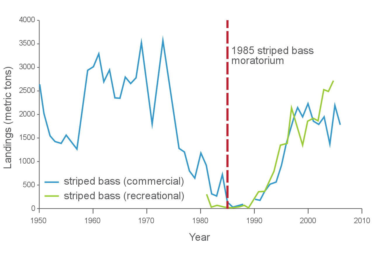 fisheries-chesapeake-bay-story