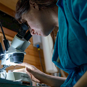 Nicole Trenholm, co-founder of Ocean Research Project, analyzes samples of microdebris aboard the research vessel. (Photo courtesy of Timothy Wolfer).